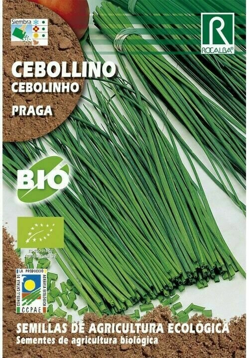 HORTALIZAS ECOLOGICAS CEBOLLINO PRAGA