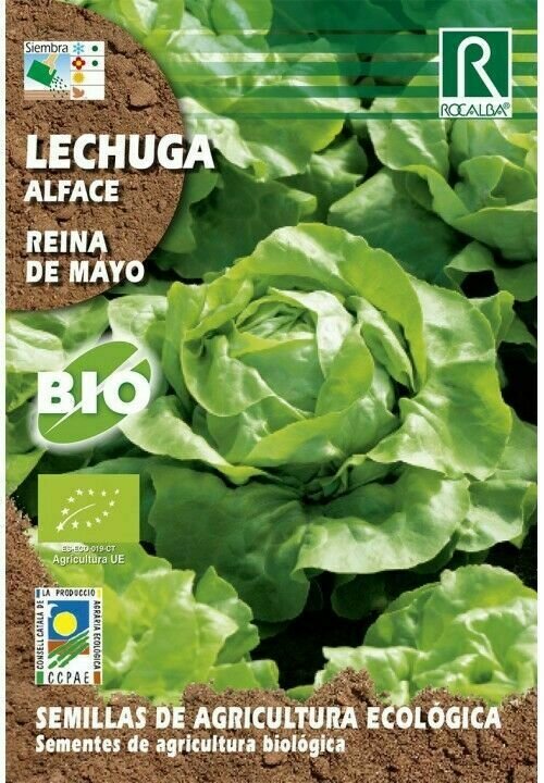 HORTALIZAS ECOLOGICAS LECHUGA REINA DE MAYO