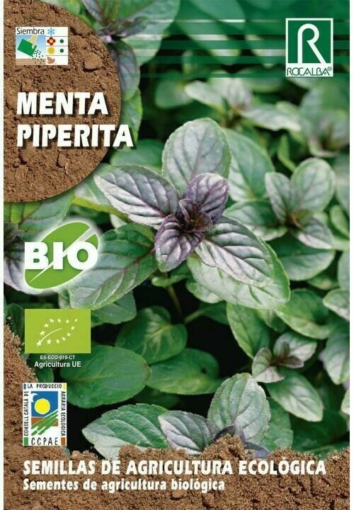 HORTALIZAS ECOLOGICAS MENTA