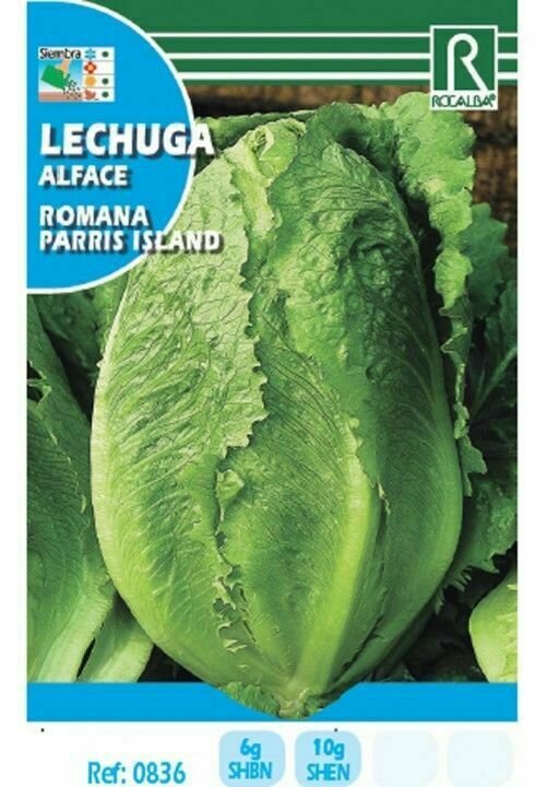 HORTALIZAS LECHUGA ROMANA PARRIS ISLAND