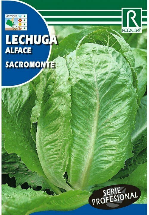 HORTALIZAS PROFESIONAL LECHUGA SACROMONTE