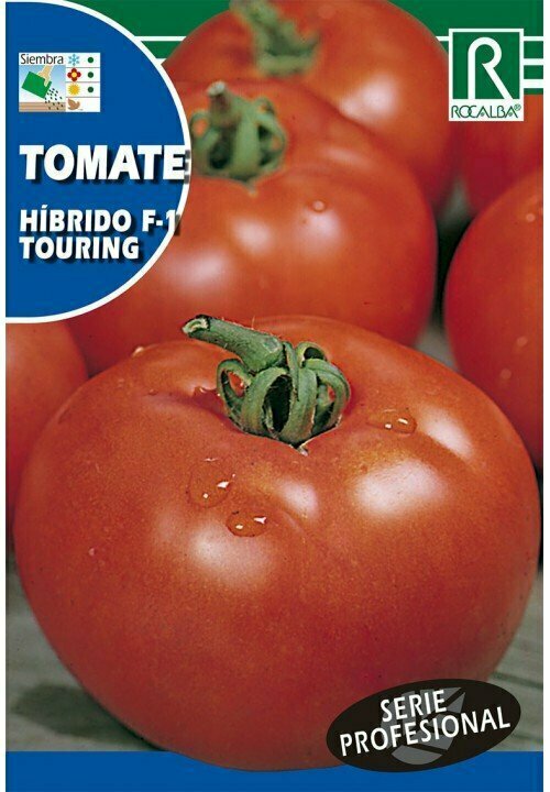 HORTALIZAS PROFESIONAL TOMATE HIBRIDO F-1 TOURING