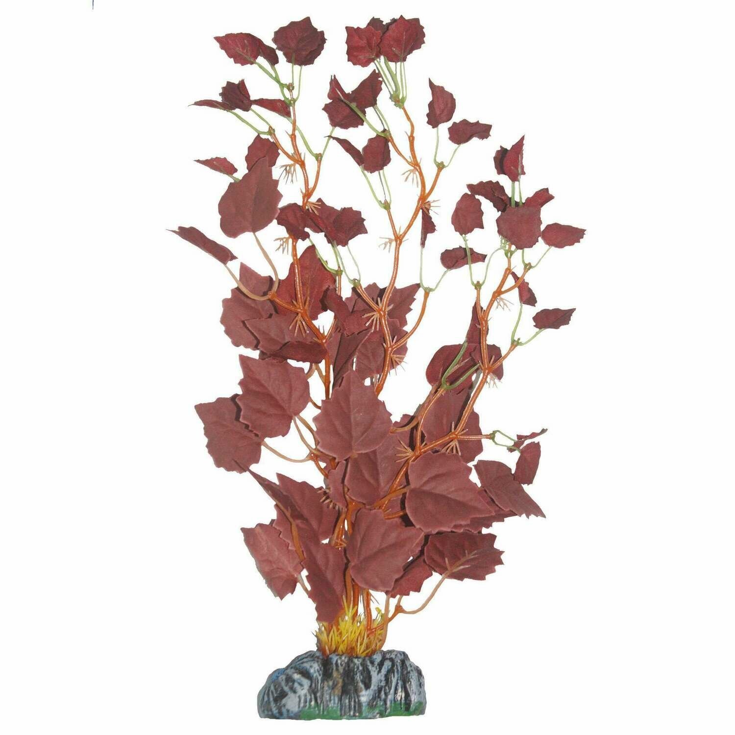 Hygrofila de AQUATIC PLANTS (SEDA)