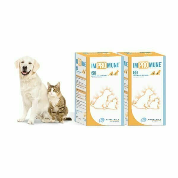IMPROMUNE 40 COMPRIMIDOS ALIMENTO COMPLEMENTARIO PARA PERROS GATOS