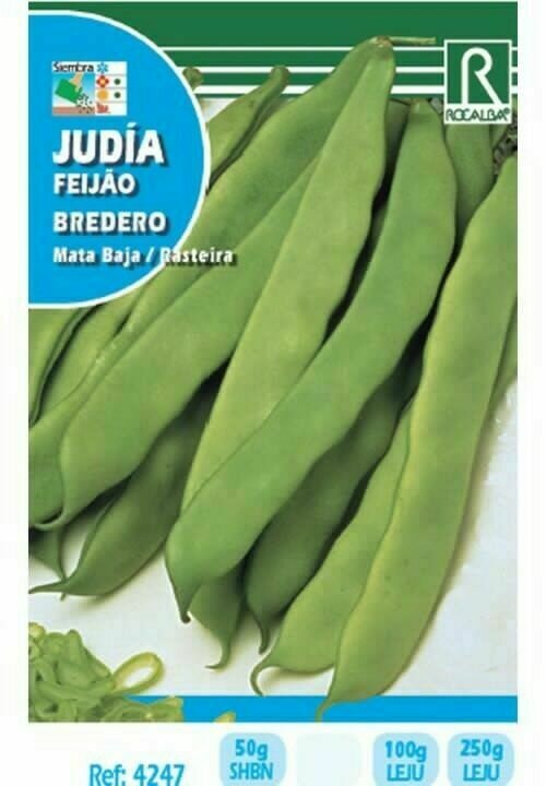 JUDIA BREDERO 50 GRS