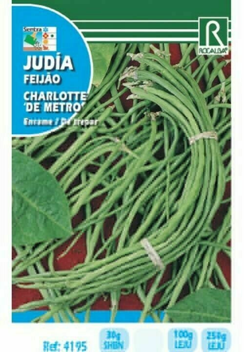 JUDIA CHARLOTTE 250 GRS