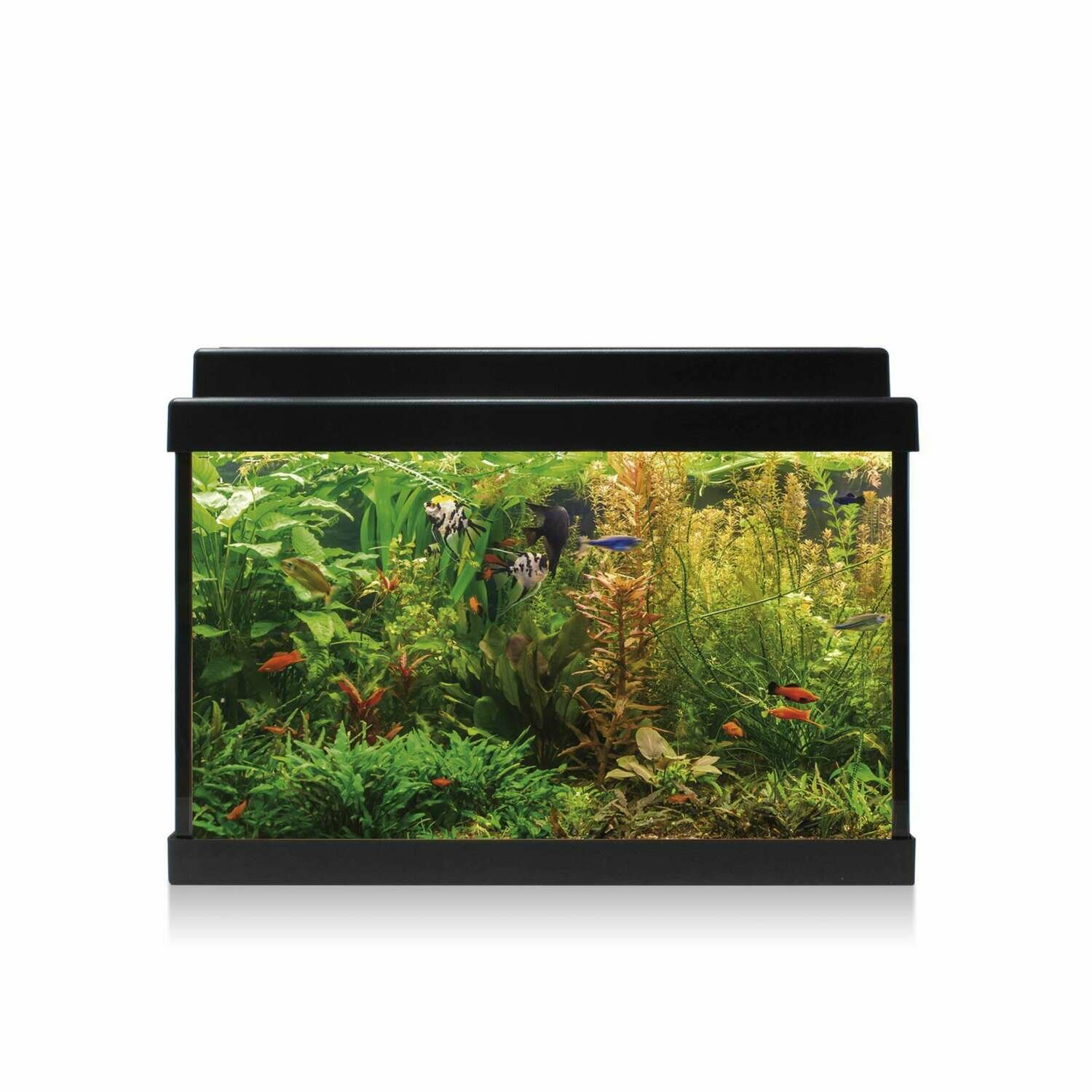 Kit AQUA-LED 20 con filtro interior