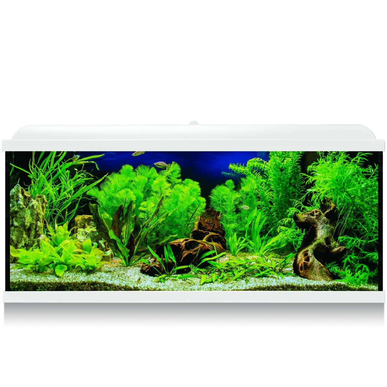 Kit AQUA-LED PRO 130 con filtro interior