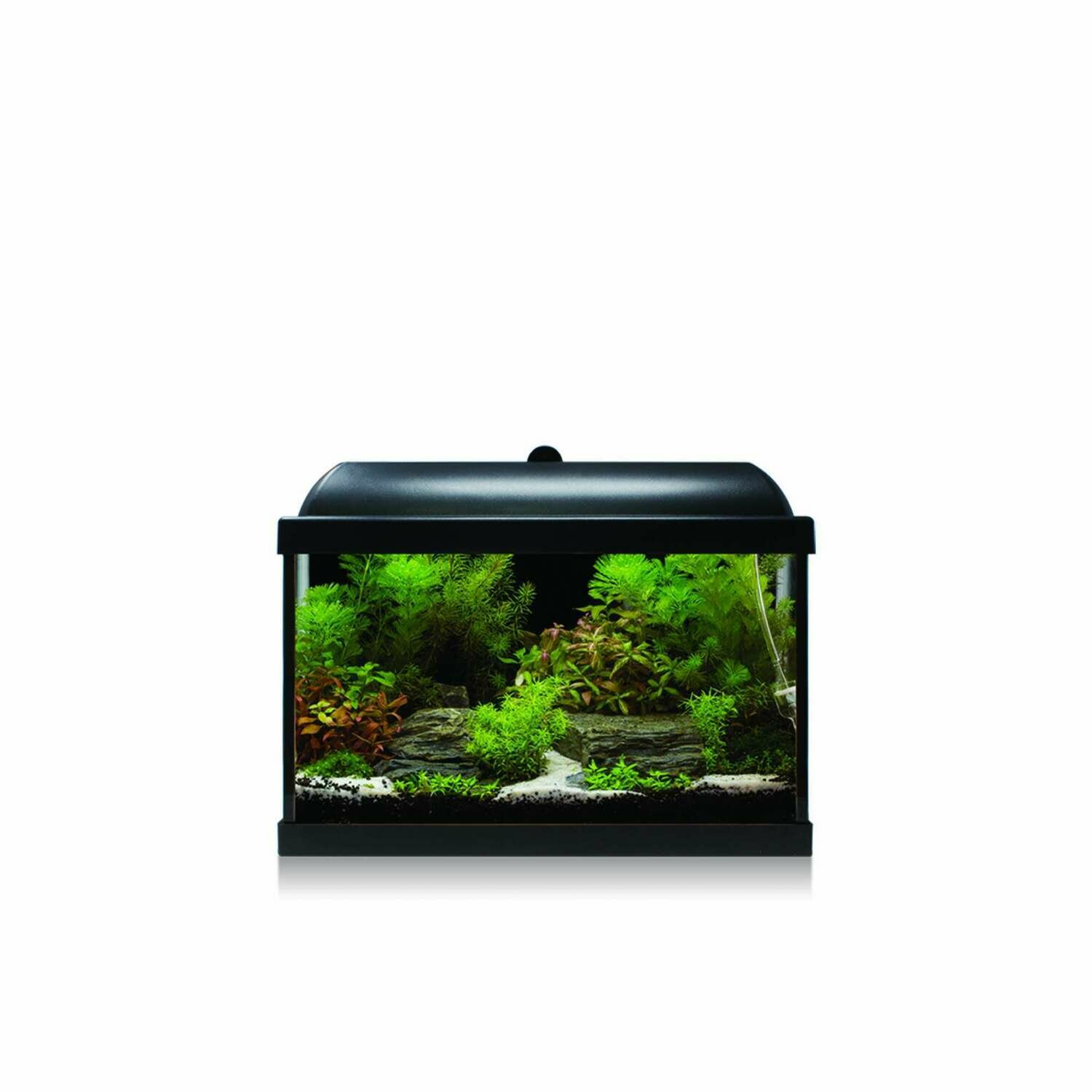 Kit AQUA-LED PRO 25 con filtro interior