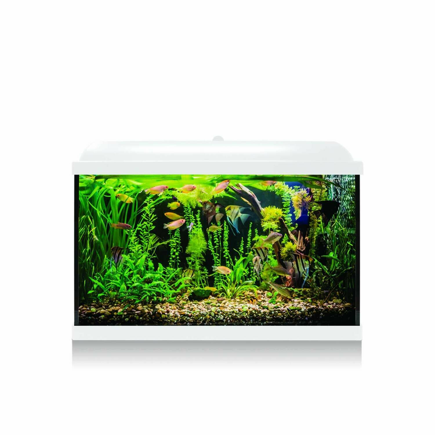 Kit AQUA-LED PRO 68 con filtro interior