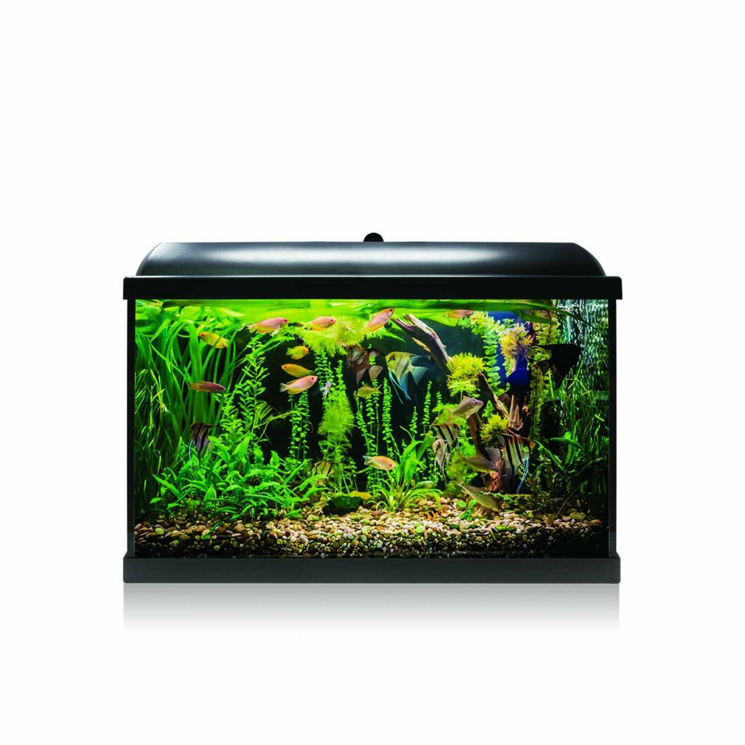 Kit AQUA-LED PRO 68 con filtro interior