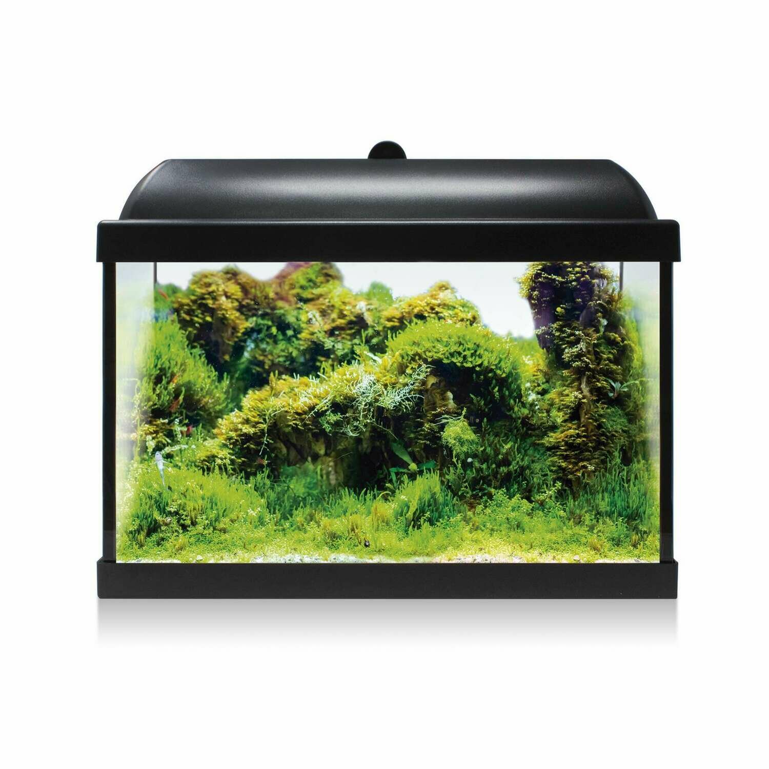 Kit AQUA LED RGB 25