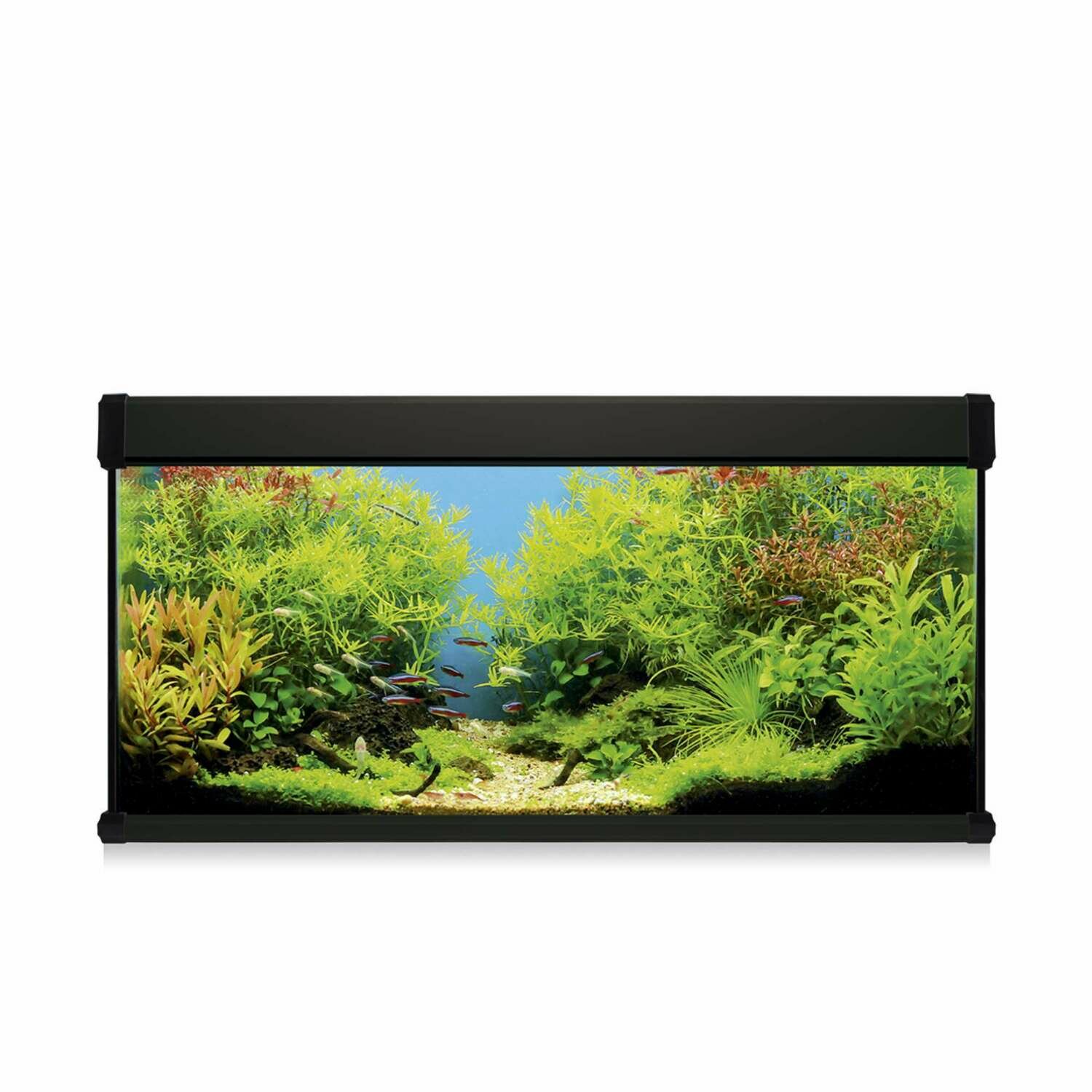Kit AQUA LUX PRO 130 con filtro interior