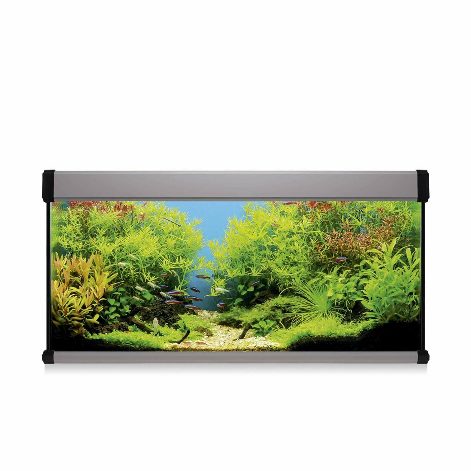 Kit AQUA LUX PRO 168 con filtro exterior