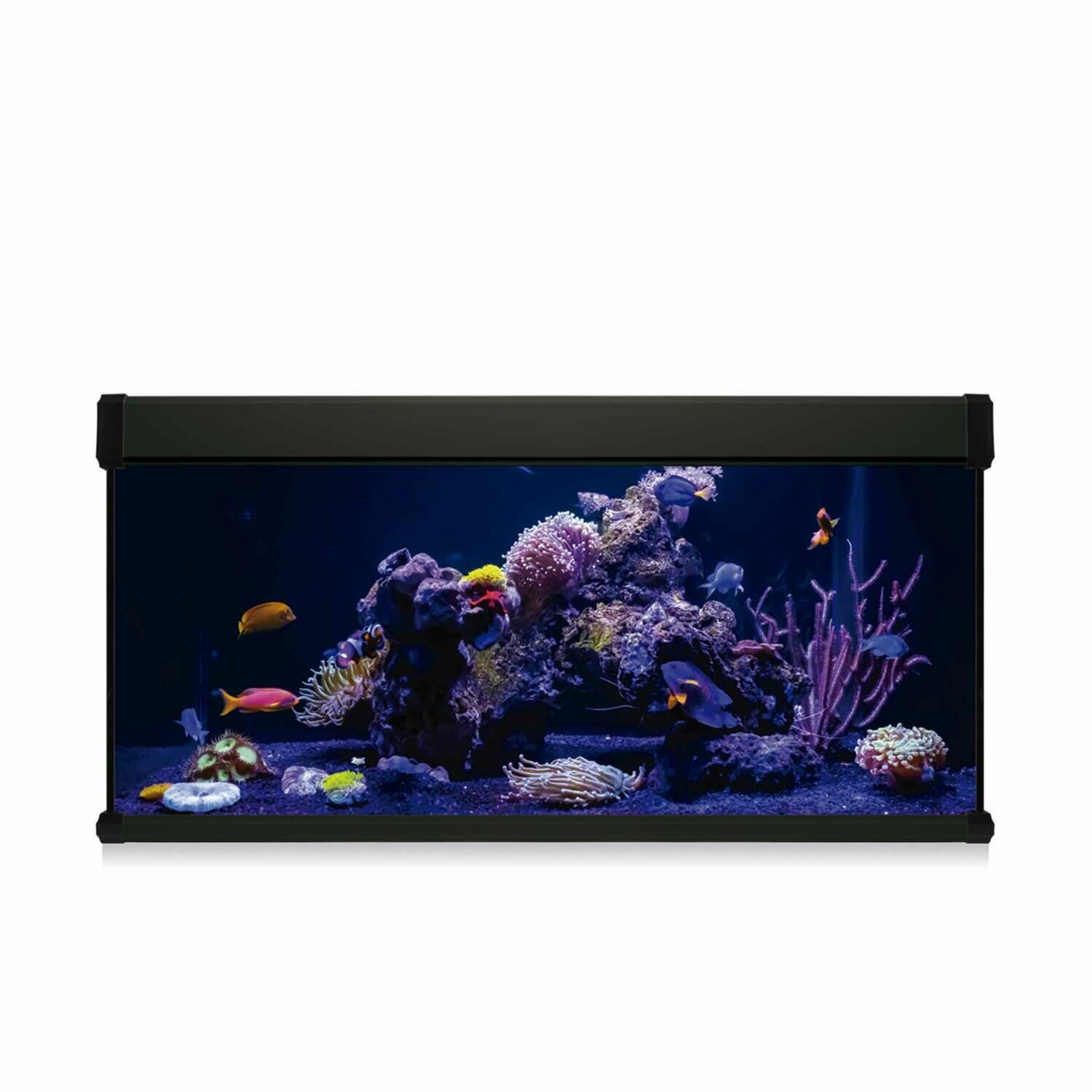 Kit AQUA LUX PRO 168 con filtro interior