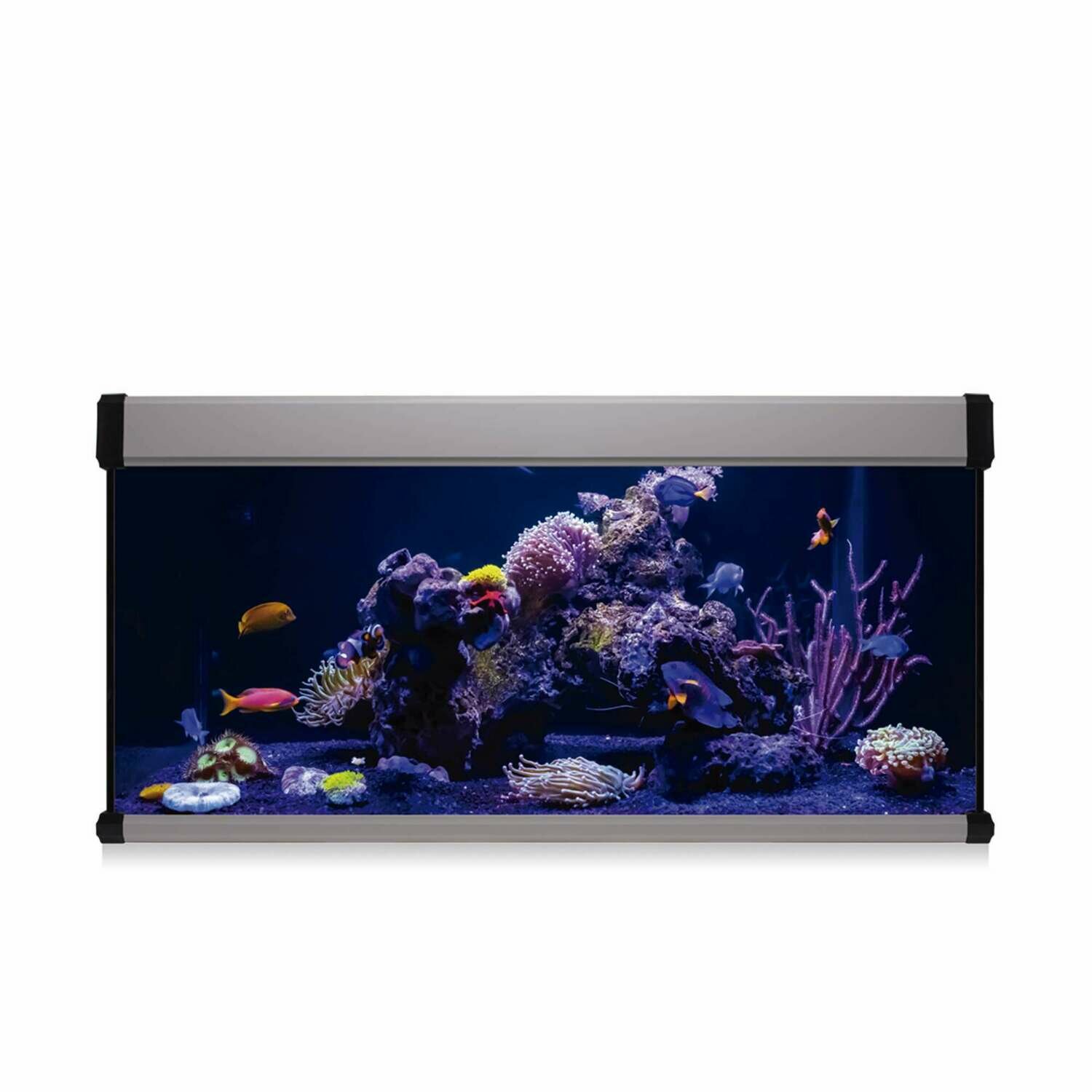 Kit AQUA LUX PRO 168 con filtro interior