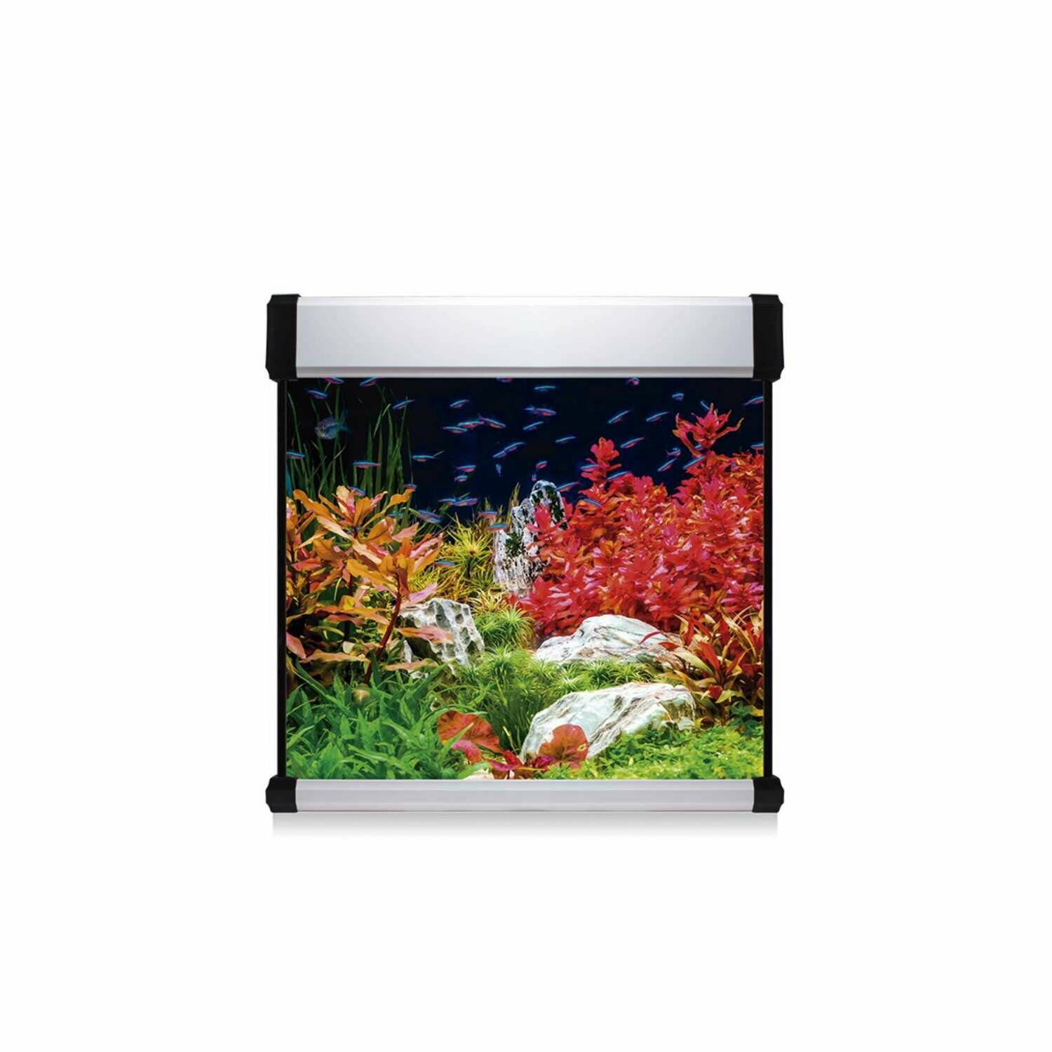 Kit AQUA LUX PRO 190 con filtro exterior