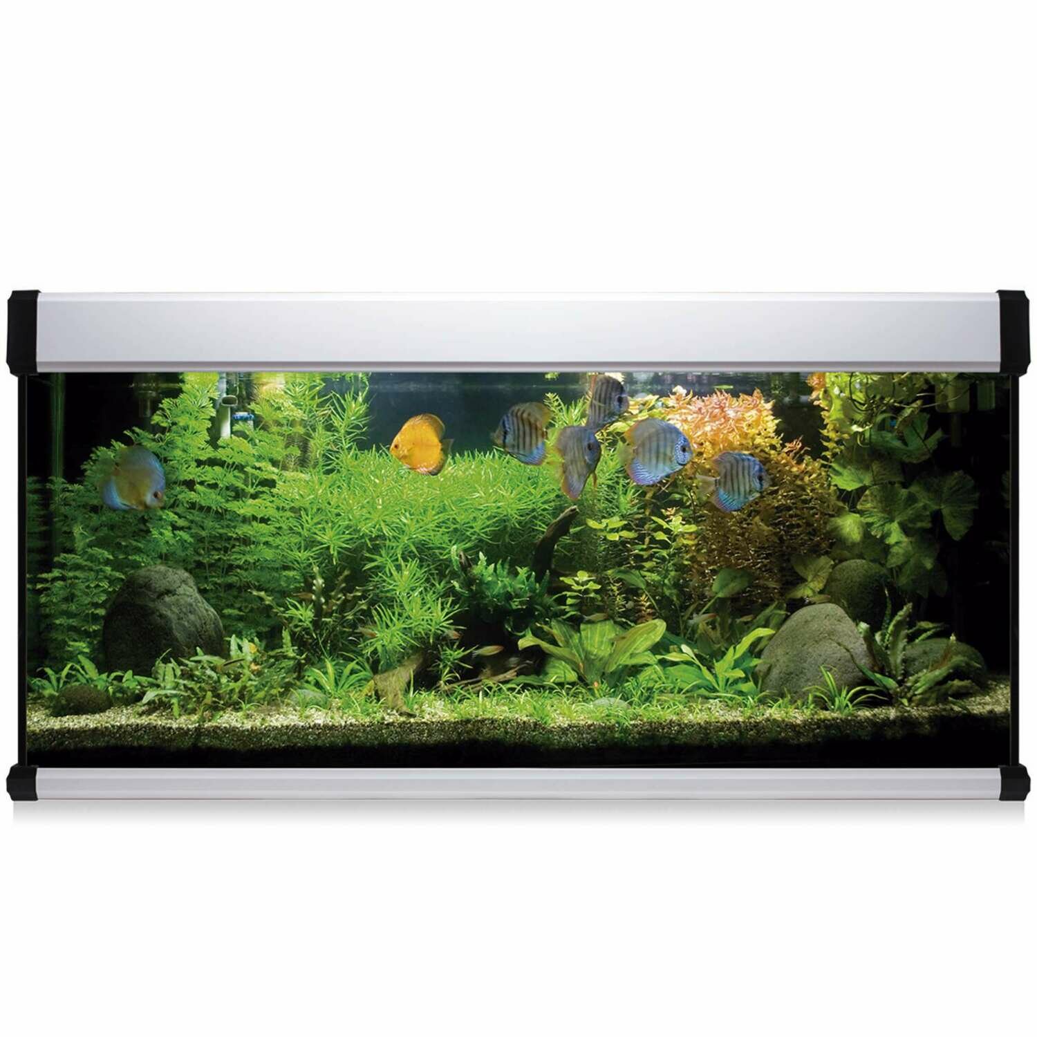 Kit AQUA LUX PRO 240 con filtro exterior