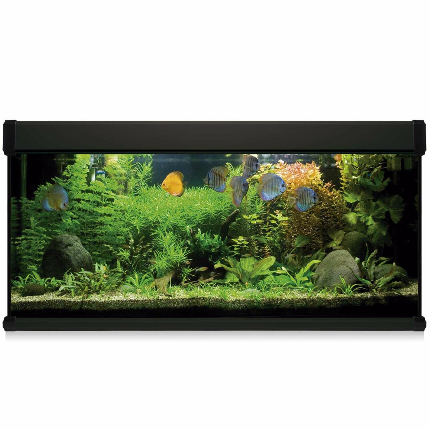 Kit AQUA LUX PRO 240 con filtro exterior