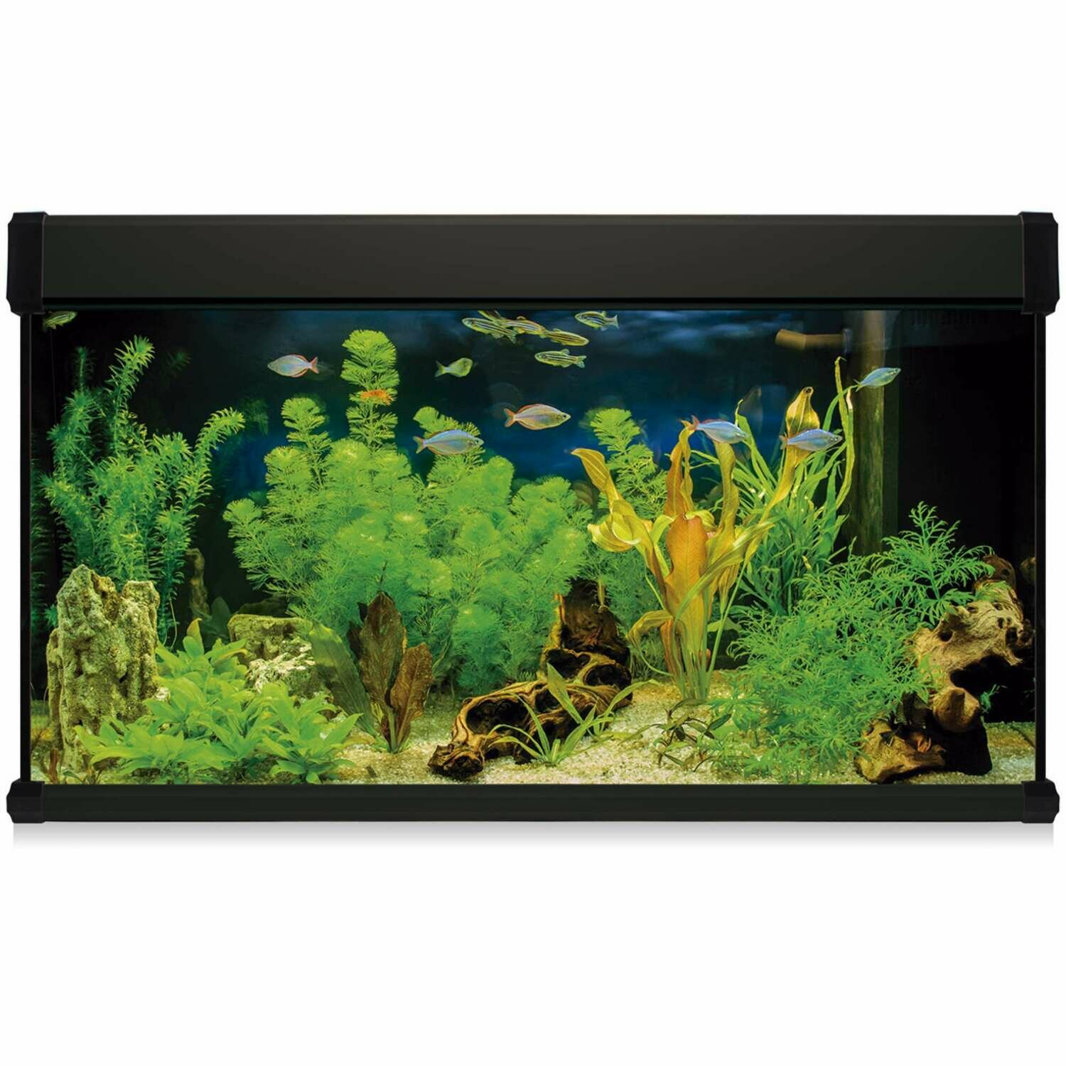 Kit AQUA LUX PRO 300 con filtro exterior