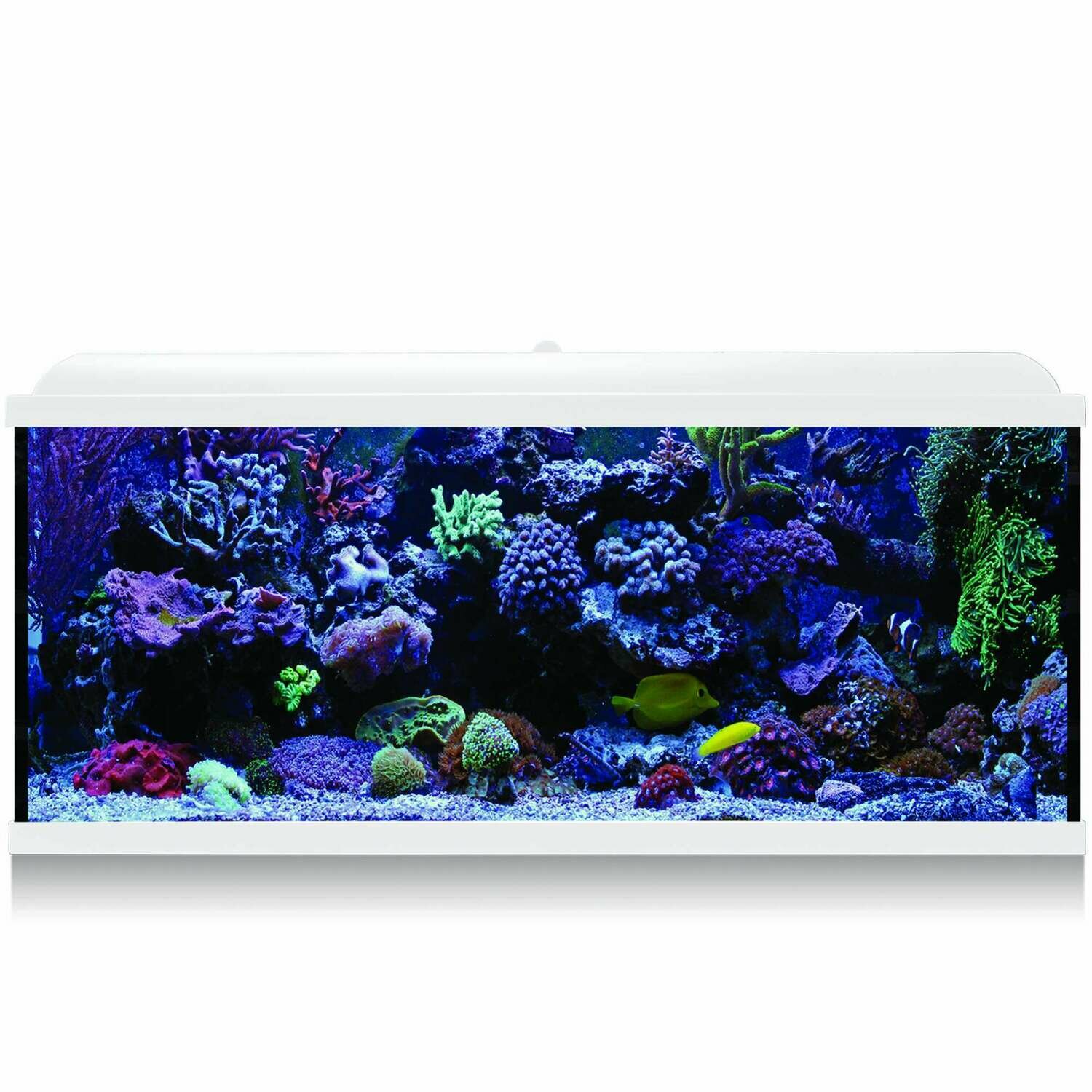 Kit Hydra 130 para agua salada