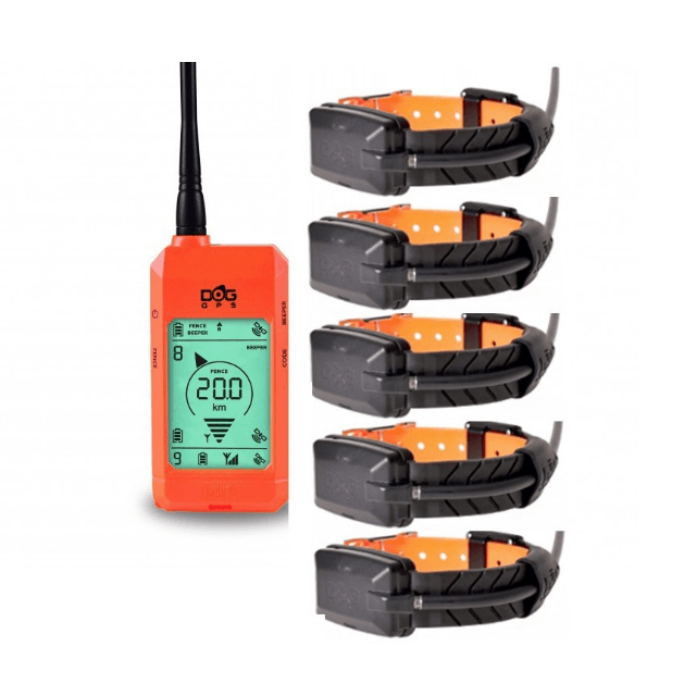 Collar Localizador GPS Dogtrace x20 Radio localización perros con