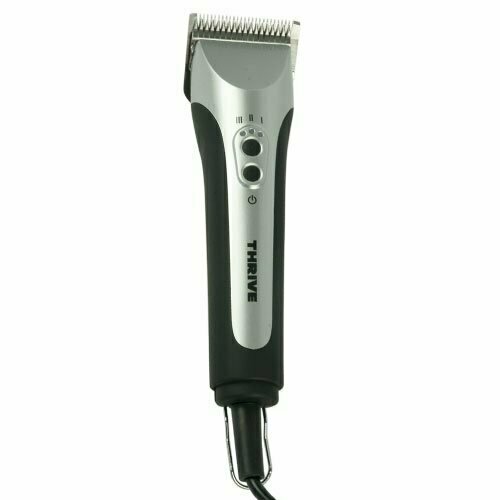 Máquina profesional Thrive 808-4S