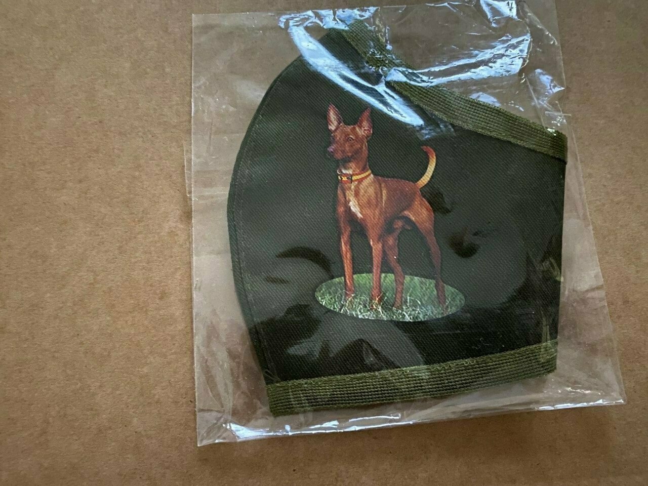 Mascarilla con PODENCO ANDALUZ