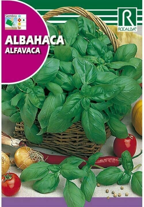 MEDICINALES, AROMATICAS Y CULINARIAS ALBAHACA