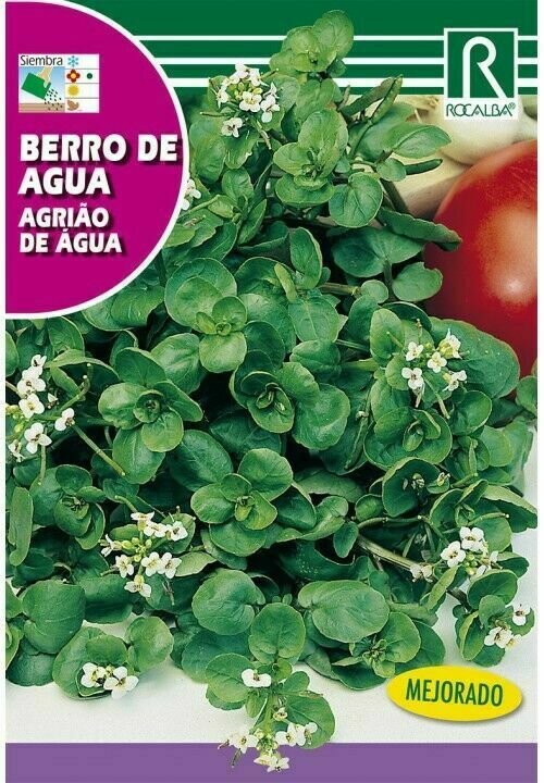MEDICINALES, AROMATICAS Y CULINARIAS BERRO DE AGUA