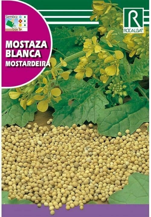 MEDICINALES, AROMATICAS Y CULINARIAS MOSTAZA