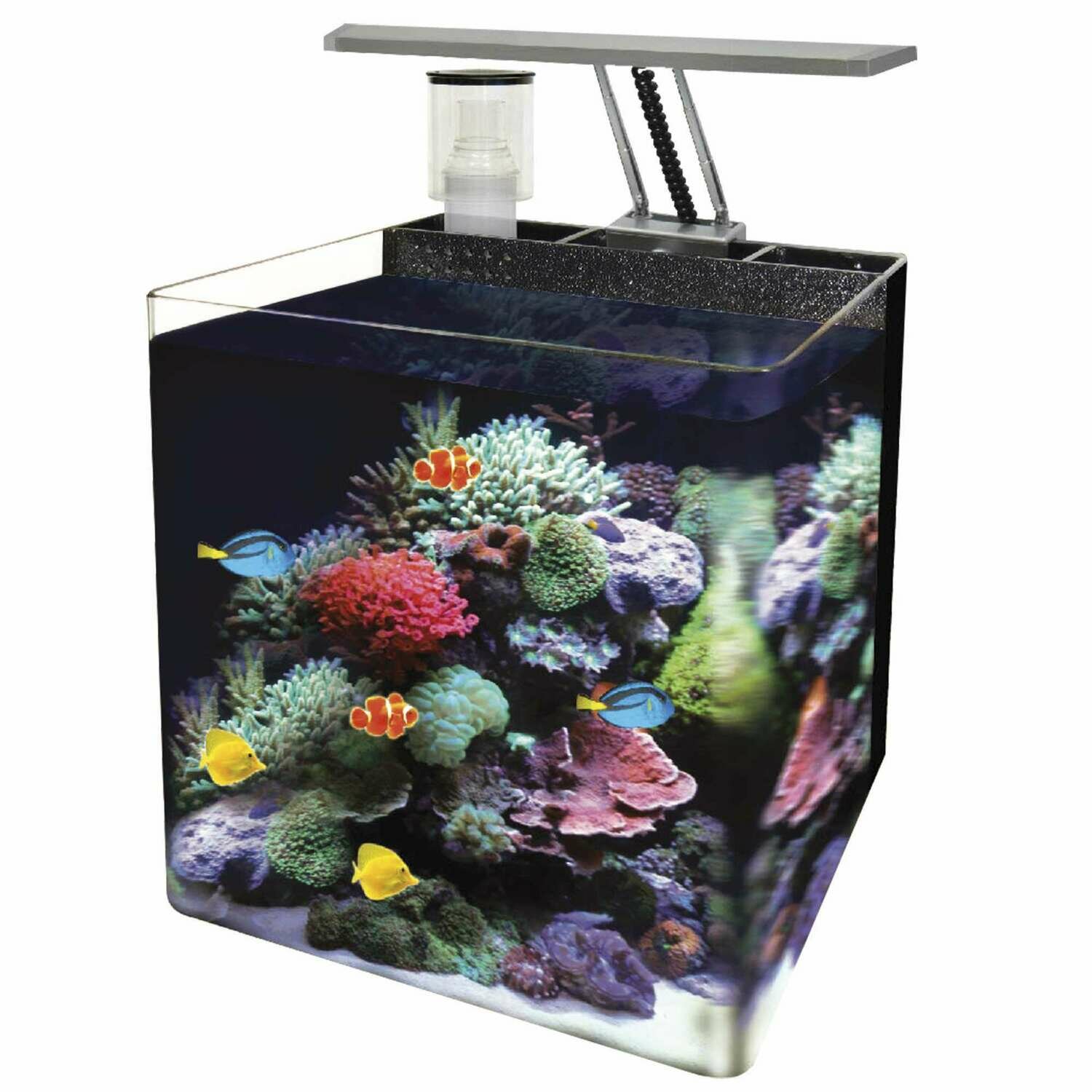 Nano Acuario marino OCEAN FREE