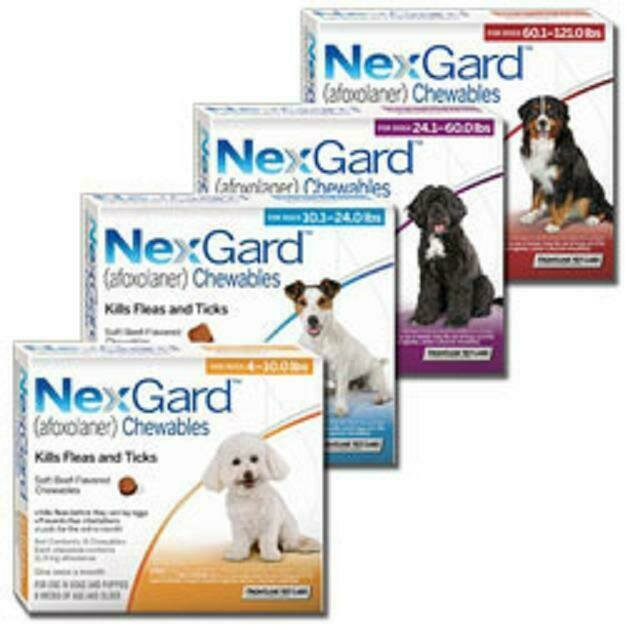 NEXGARD ANTIPARASITARIO DE PERROS Y GATOS PULGAS GARRAPATAS 
S 2-4 KG 3 COMPRIMIDOS