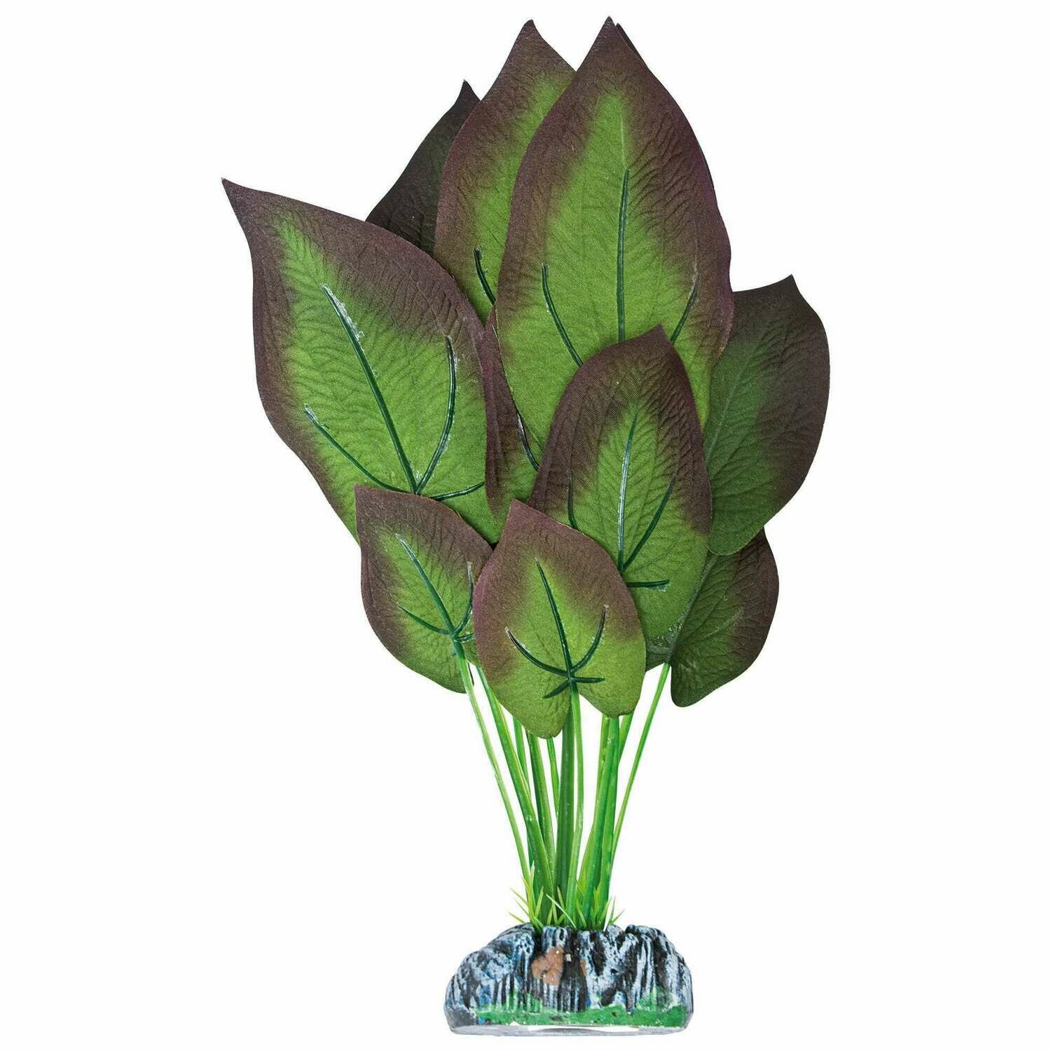 Ninfa de AQUATIC PLANTS (SEDA)
