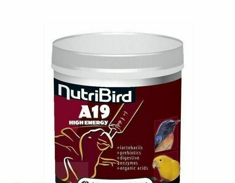 NUTRIBIRD A19 ALTA ENERGIA
