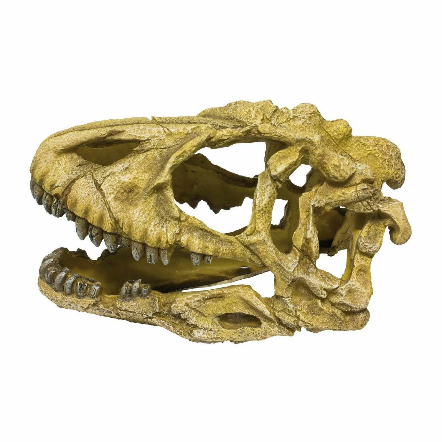 Ornamento con un cráneo de dinosaurio