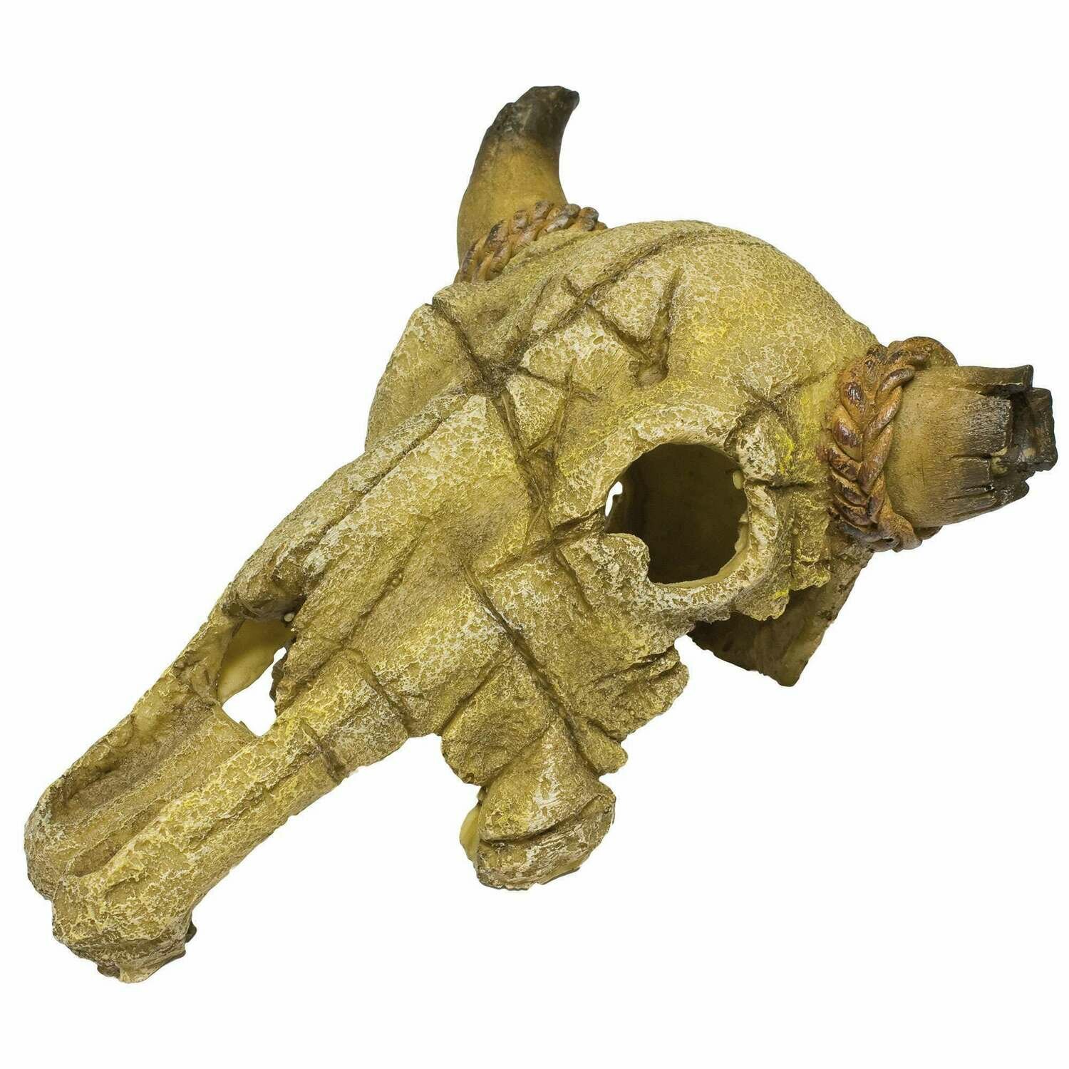 Ornamento con un cráneo de toro