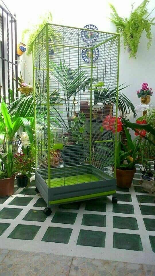 PAJARERA VOLTREGA 420