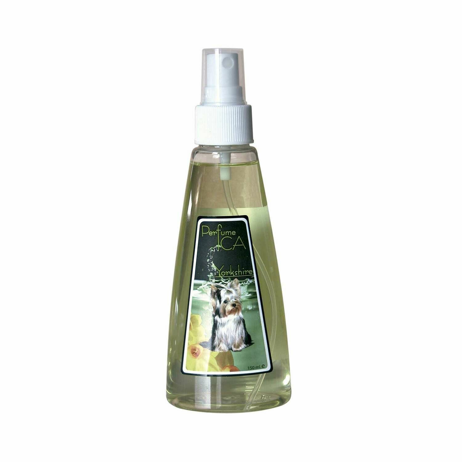 Perfume ICA Yorkshire
