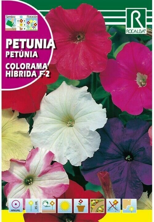 PETUNIA HIBRIDA F 2