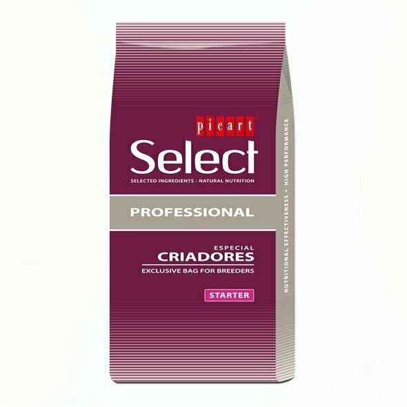 PICART PROFESIONAL STARTER 20 KG