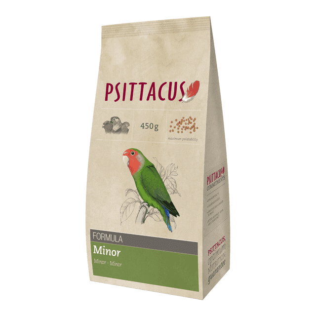 PSITTACUS MINOR
