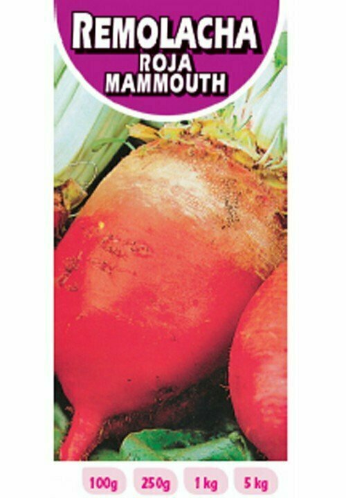 REMOLACHA ROJA MAMMOUTH 1 KG