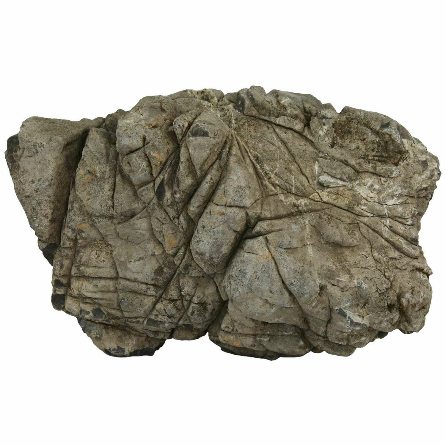 Rocas naturales AQUASCAPING Elephant Grey Luohan
