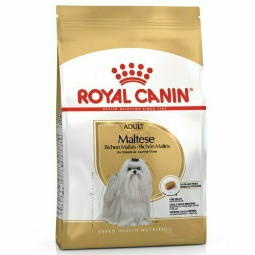 ROYAL CANIN MALTESE PERRO