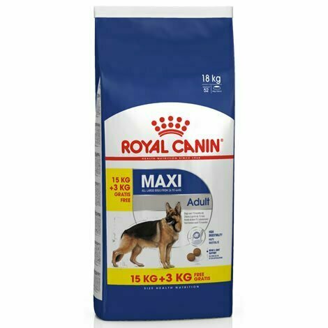 ROYAL CANIN MAXI ADULT PERRO