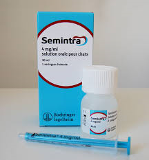 SEMINTRA 4 MG 30 ML  ALIMENTO COMPLEMENTARIO PARA GATOS SEMINTRA 4 MG 30 ML  ALIMENTO COMPLEMENTARIO PARA GATOS