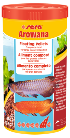 SERA AROWANA