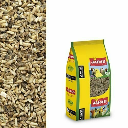 SORGO ROJO JARAD