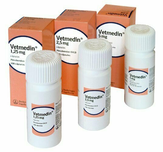VETMEDIN MASTICABLE ALIMENTO COMPLEMENTARIO PARA PERROS 
1,25 mg 100 cápsulas